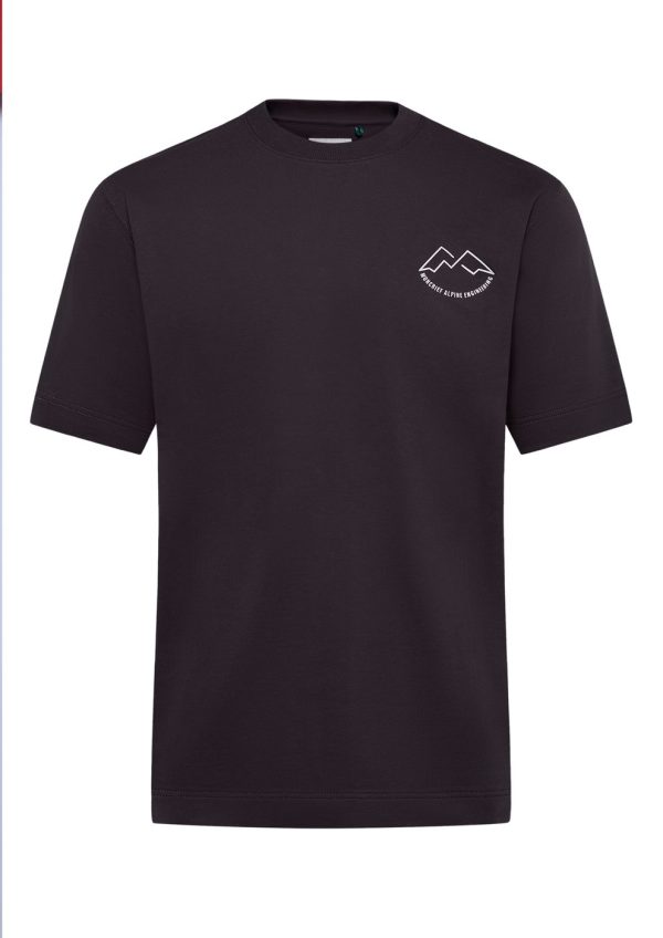 Alpine 250 Tee