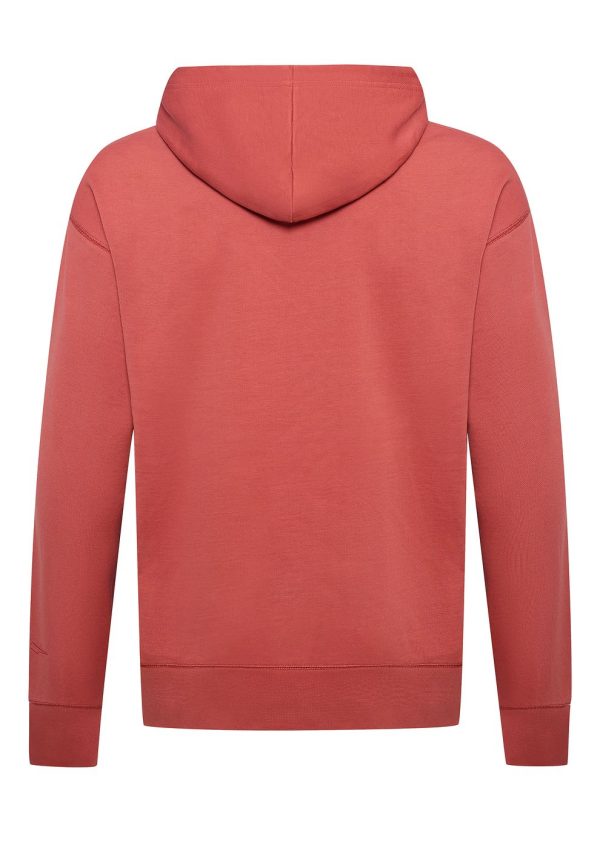 Alpine 390 Hoodie