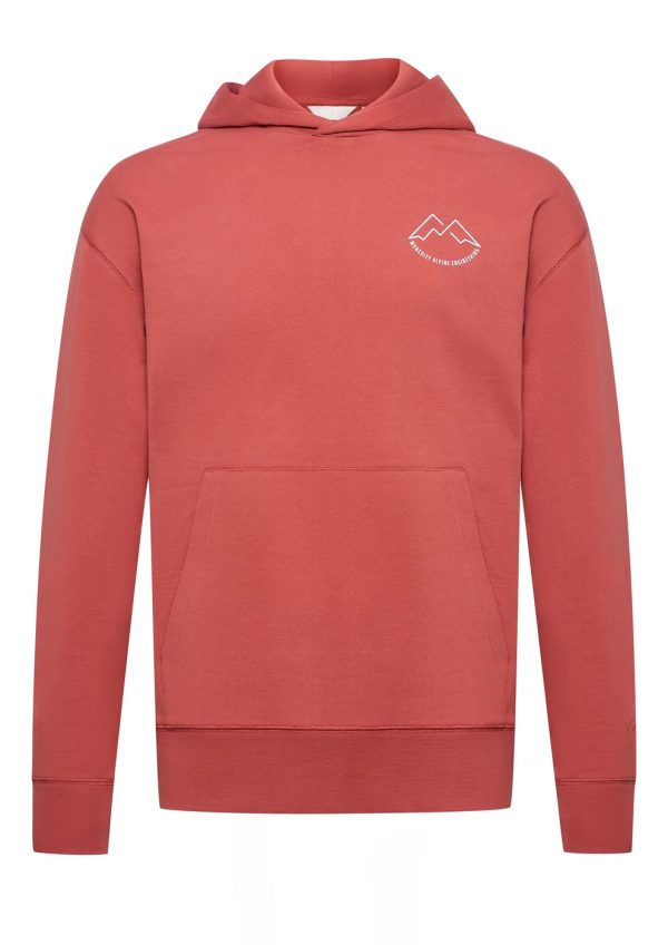 Alpine 390 Hoodie