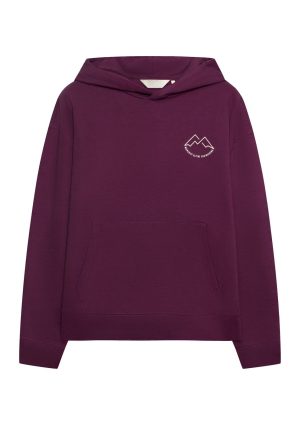 Alpine 390 Hoodie solid puple Alpine 390 Hoodie