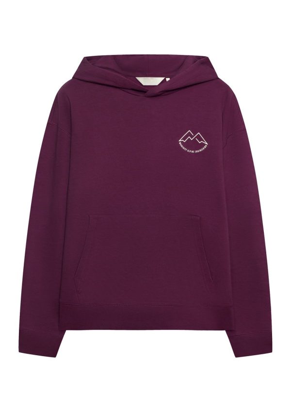 Alpine 390 Hoodie