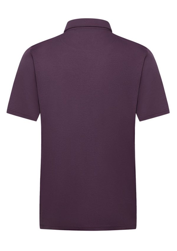 Alpine Polo