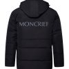 Logo Puffer