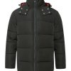 Logo Puffer