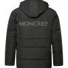 Logo Puffer